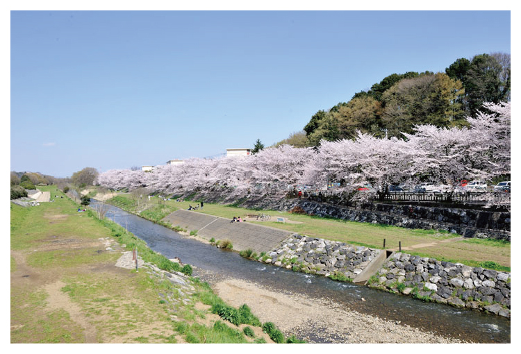 柳瀬川 河川敷